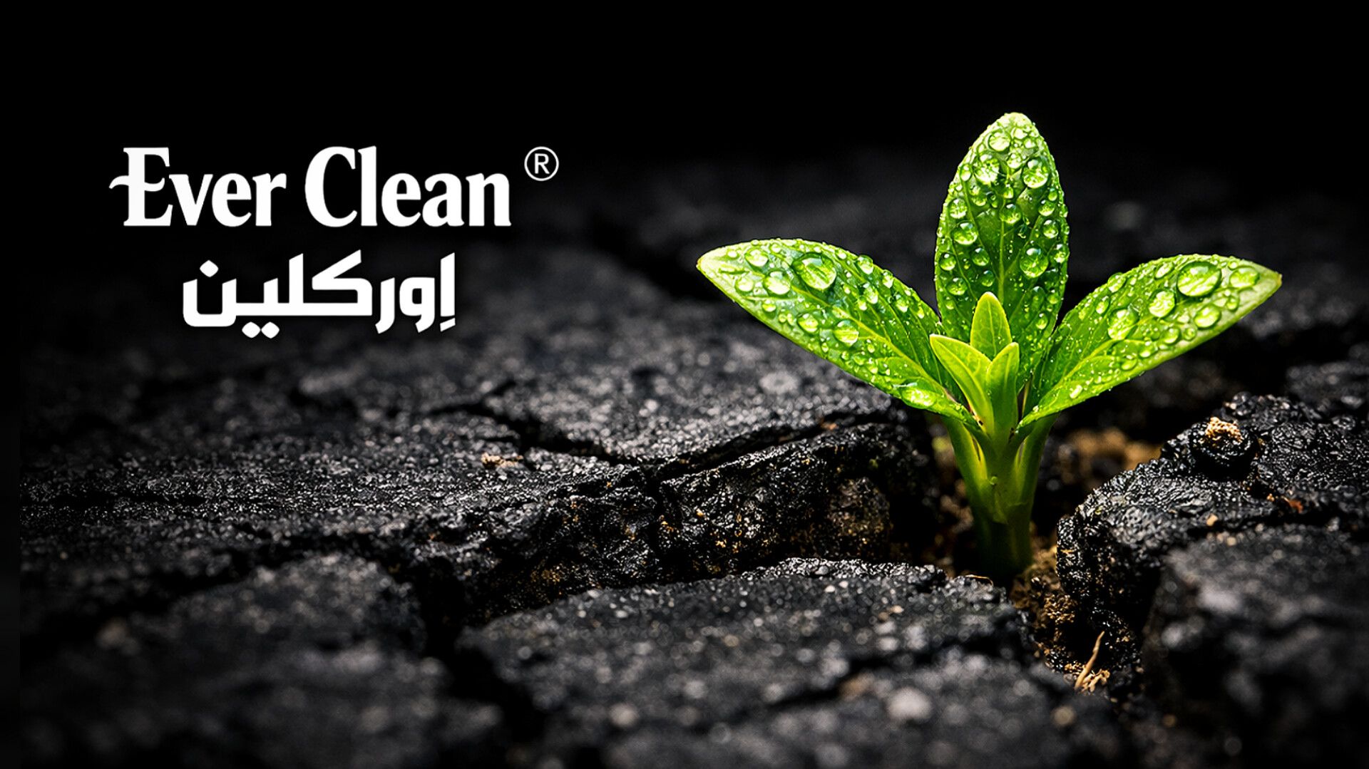 everclean logo