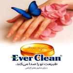 everclean-logo