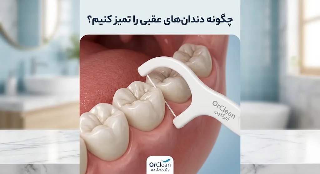 چگونه دندان‌های عقبی را تمیز کنیم؟ | اورکلین
